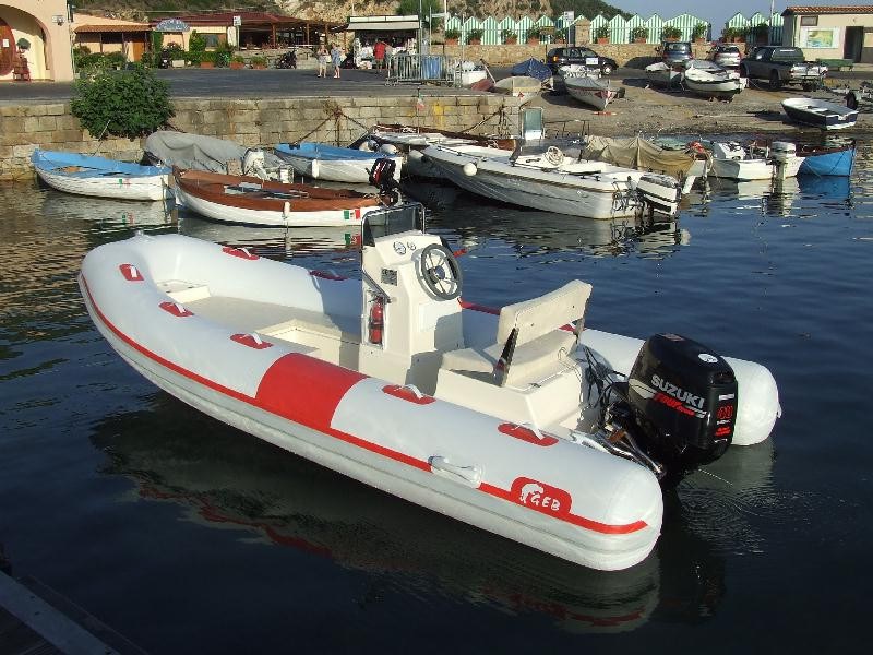 Luxury motorboats or yachts moored in a marina