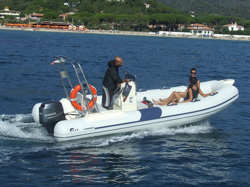 Luxury motorboats or yachts moored in a marina