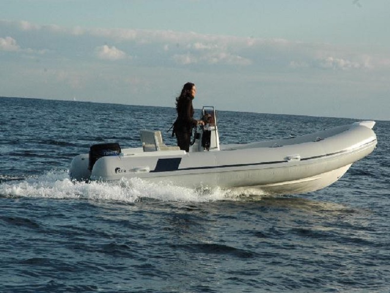 Luxury motorboats or yachts moored in a marina