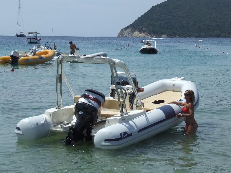 Luxury motorboats or yachts moored in a marina