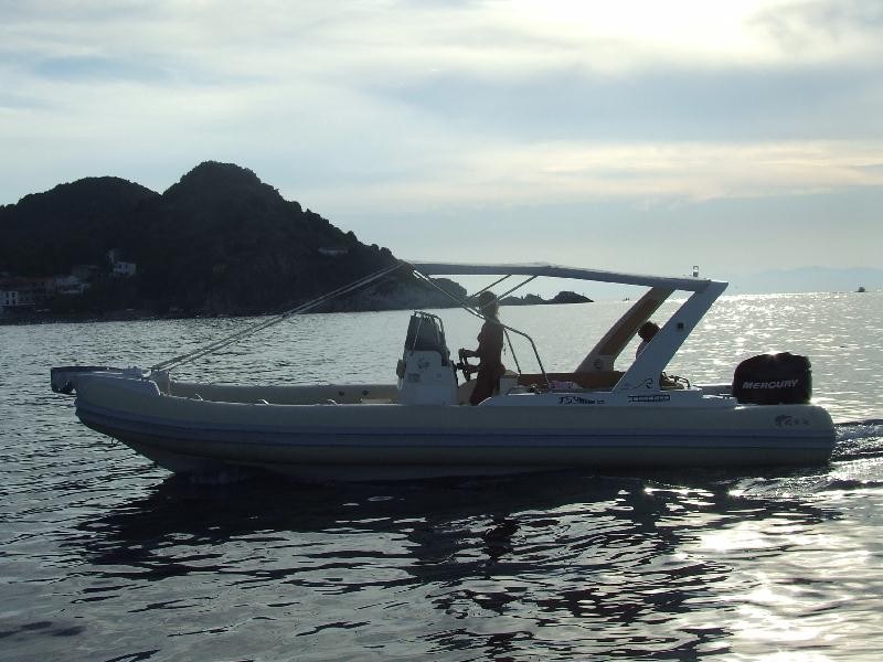 Luxury motorboats or yachts moored in a marina